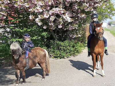 Bild 30 aus  Ferienhof Claußen