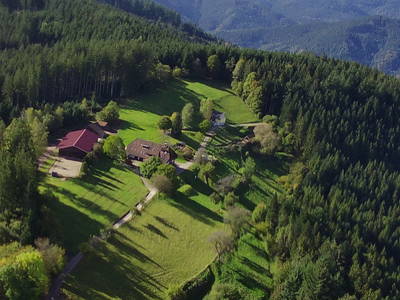 Bild 3 aus  Landeckhof