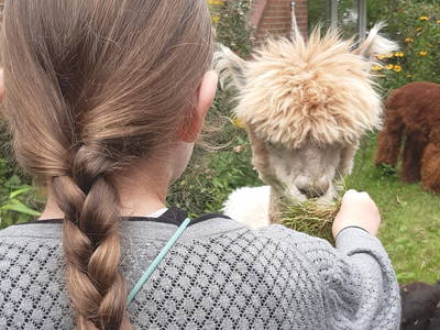 Bild 5 aus  WindWeiteWattenmeer Ferien in Tossens