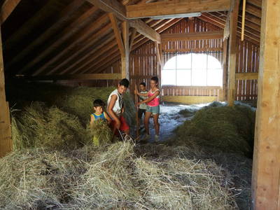 Bild 14 aus  Rieplechnhof