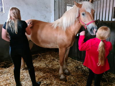 Bild 23 aus  Pension-Landhaus "Zum Ross"