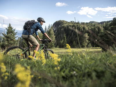 Bild 38 aus  Traubenhof    Pures Leben-Echt und natürlich