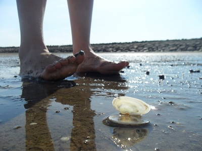 Barfuß durch das Watt