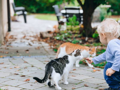 Bild 43 aus  Bio-Obstgut Oberhof