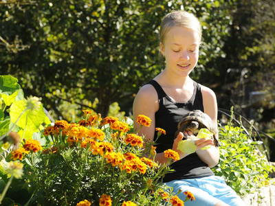 Bild 31 aus  Huberhof