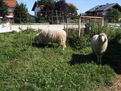 Bild 25 aus  Stefanutti Hof