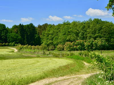 Bild 11 aus  Alte Ausspanne