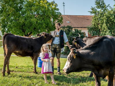 Bild 5 aus  Möderlhof