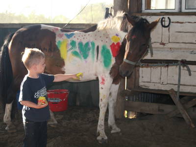 Bild 3 aus  Ferienhof Gravert