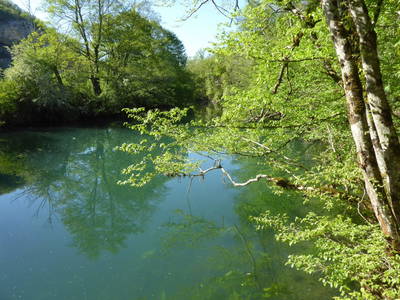 Bild 128 aus  Le Colombié - Ferienhäuser an der Dordogne mieten