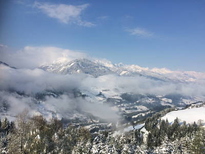 Bild 22 aus  Familienparadies Oberhasenberghof