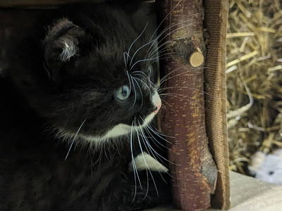 Fred in seinem Häuschen