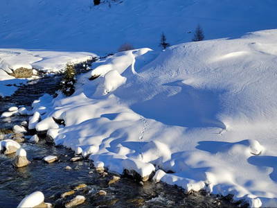 Bild 25 aus  Haus Steger