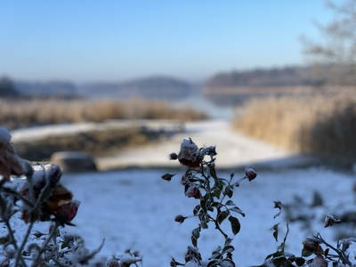 Bild 17 aus  Gut Groß Zecher
