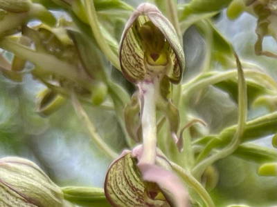 Bild 174 aus  Le Colombié - Ferienhäuser an der Dordogne mieten