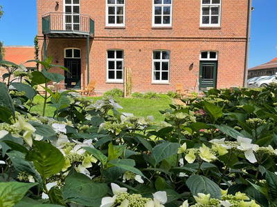 Bild 5 aus  Der Wilhelminenhof