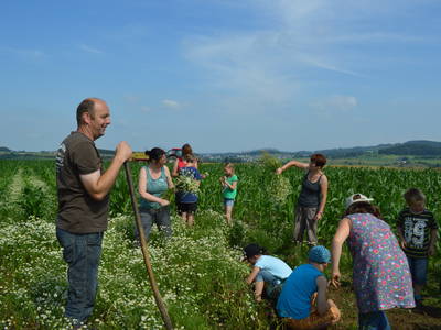 Bild 13 aus  Bauernhofpension Bals