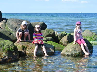 Bild 27 aus  Ferienhof Presener Deichkrone