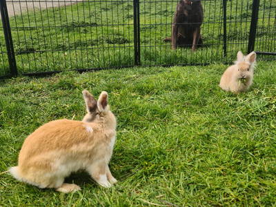 Bild 16 aus  Wendelhof