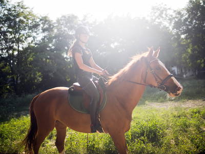 Bild 13 aus  Ferienhof Reckziegel