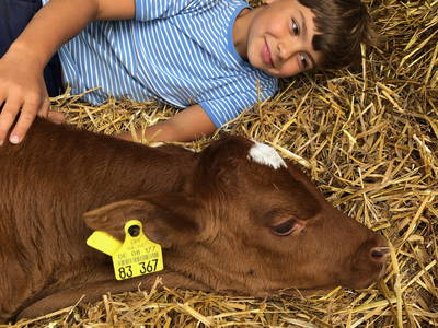 Bild 3 aus  Kernenhof