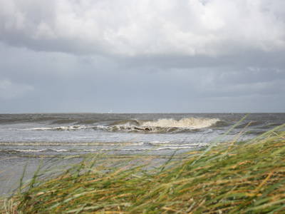 Bild 21 aus  LandSelection Ol' Backhus