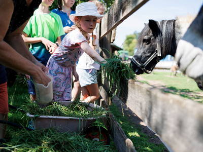 Bild 18 aus  Feriendorf Nehmeier