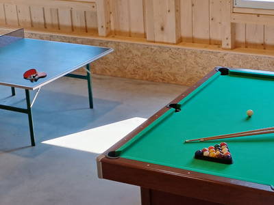 Tischtennis und Billiard