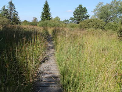 Bild 24 aus  Victorhof Ferienwohnungen