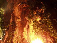 Bild 4 aus  Gasthof zum Grünen Baum