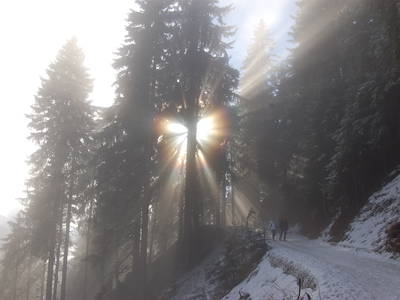 Bild 24 aus  Callhof Biohof