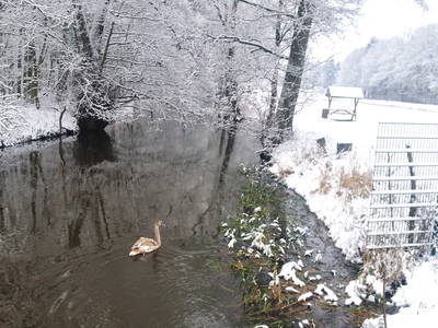 Bild 15 aus  Kleines Landhotel Neue Mühle