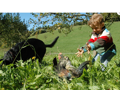 Bild 4 aus  Vogtbenedikthof im Schwarzwald