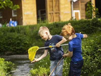 Bild 17 aus  Gut Frielinghausen