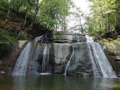 Bild 8 aus  Idyllischer Stellplatz im Westallgäu