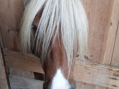 Bild 25 aus  Endlhof