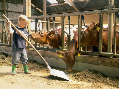 Bild 15 aus  Ferienhof Greggersen