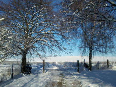 Bild 42 aus  Forsthof Niendorf