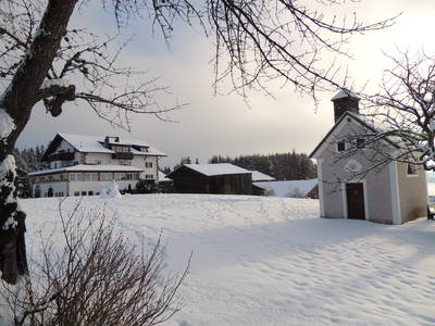 Bild 17 aus  Schadnerhof