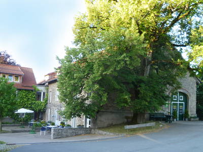 Bild 8 aus  Kaisers Hof - Urlaub auf dem Bauernhof