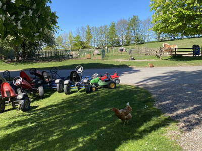 Bild 82 aus  Ferienhof Messer  Bauernhofurlaub  Ostseenähe  Ponys