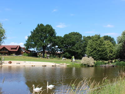 Bild 10 aus  Gut Sommereichen