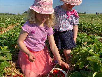 Bild 2 aus  Müritz-Hof Knust