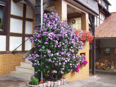 Bild 23 aus  Bauernhof Büchsenschütz