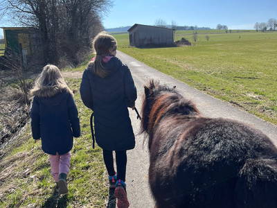 Bild 8 aus  Hof Wahls