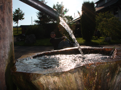 Bild 15 aus  Gschwinghof