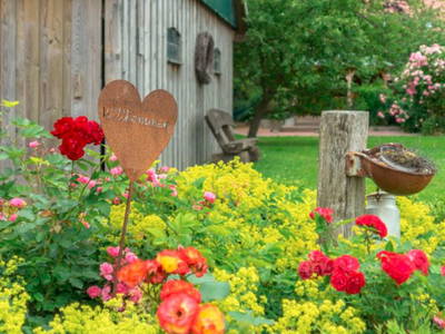 Bild 5 aus  Adrianenhof