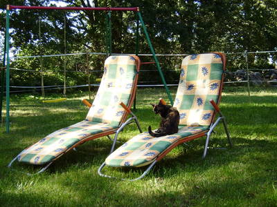 Bild 12 aus  29643 Neuenkirchen