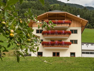 Bild 22 aus  Kreuzplon
