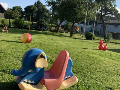 Bild 32 aus  Ferienhof Ritter im Harz